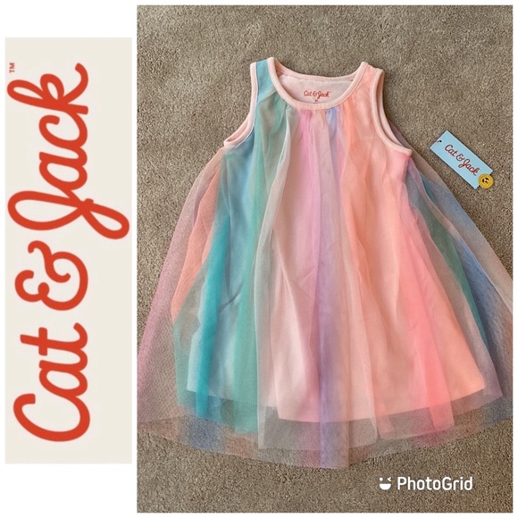 Cat & Jack Other - NWT, Cat & Jack, Pastel Lined Tulle Dress, 3T